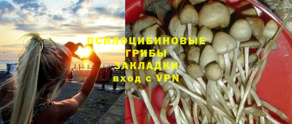 индика Липки