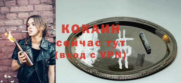 индика Липки