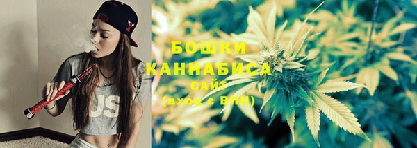 индика Липки